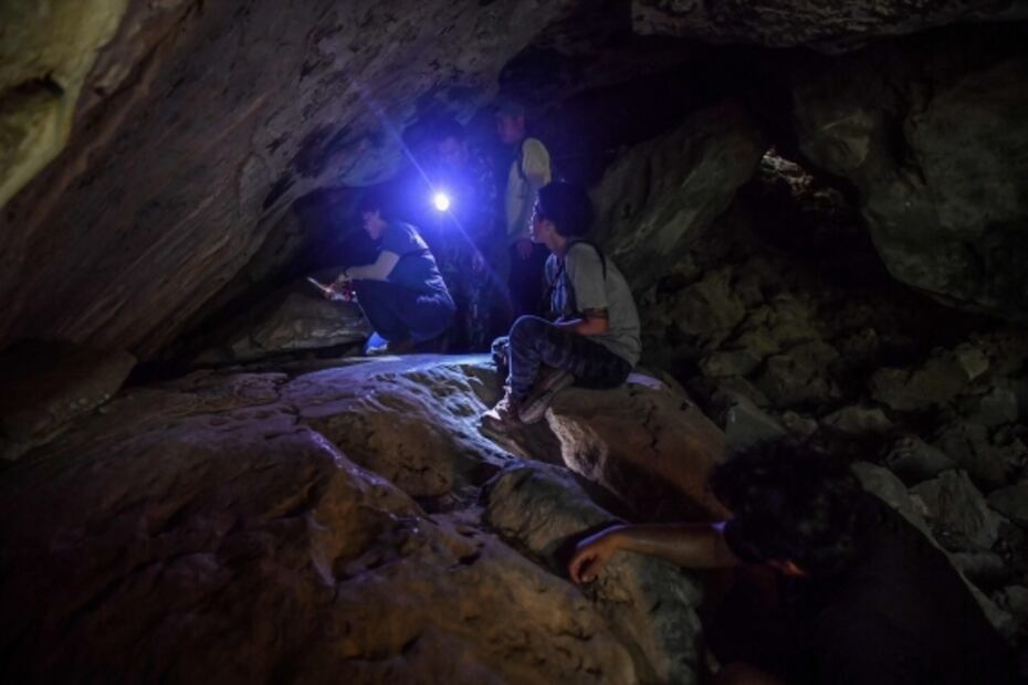 Descubren pinturas milenarias en gruta recóndita de una jungla