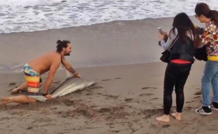 Sacó del agua a un tiburón para lucirse en foto