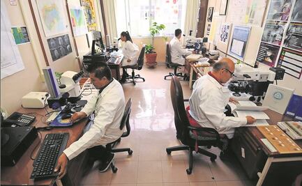 IMP analiza tener planta productora de catalizadores