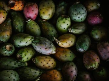 Quiénes no deben comer tunas