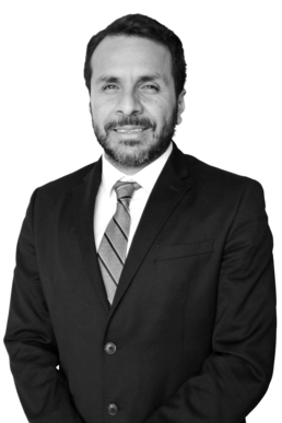 Javier Rodríguez Labastida