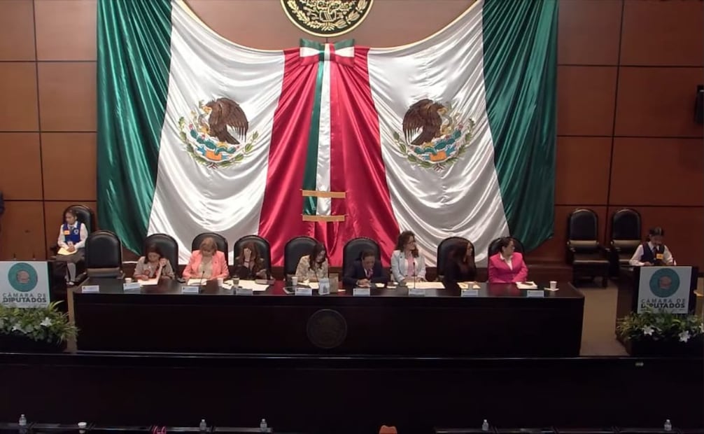 La estudiante de quinto año de primaria, Estefanía Juárez Briseño, en el Parlamento Infantil 2026 realizado en la Cámara de Diputados. Foto: Especial