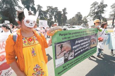 Marchan contra el maltrato hacia los animales