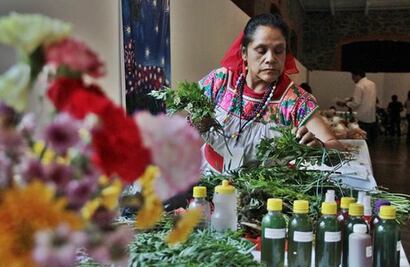 Llama CNDH a reconocer medicina tradicional indígena