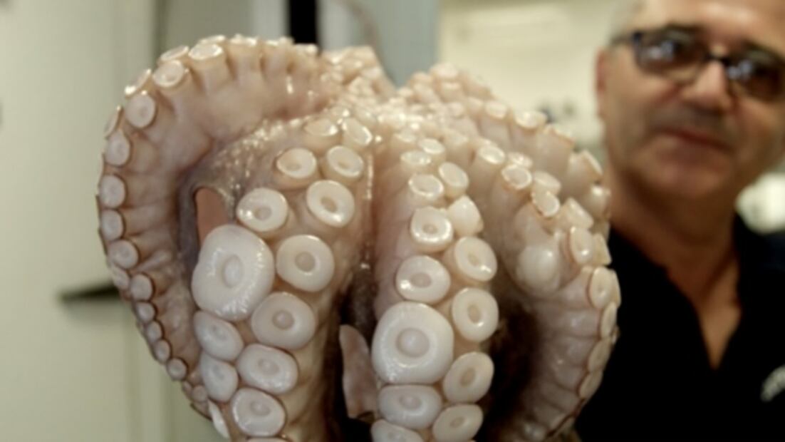 5 series y documentales sobre gastronomía para ver en casa