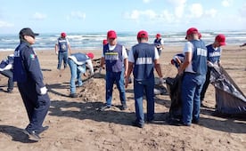Marina recolecta 330 kilos de material con hidrocarburo en playas de Veracruz; realiza recorrido de 15 km de litoral