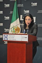 Jackie Nava busca mediar en boxeo