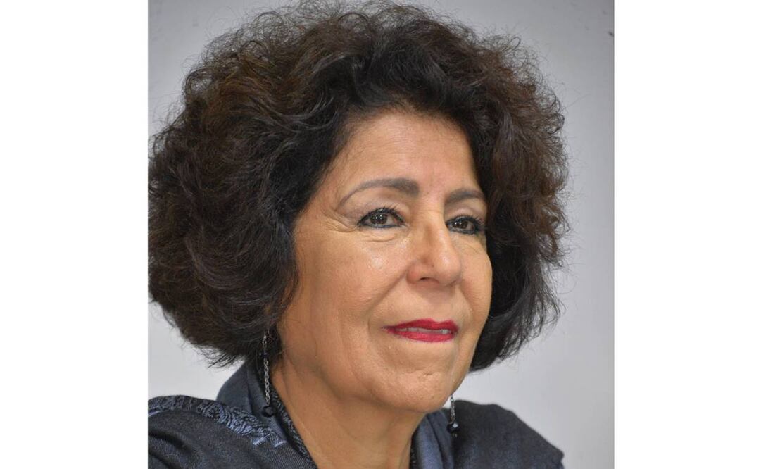 En la iniciativa de Patricia Aceves se contempla restaurar áreas de asentamientos recuperados. Foto: Archivo/EL UNIVERSAL.