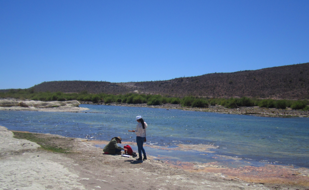 En el noroeste de México se registra una escasez de agua. Foto: María Z. Flores López