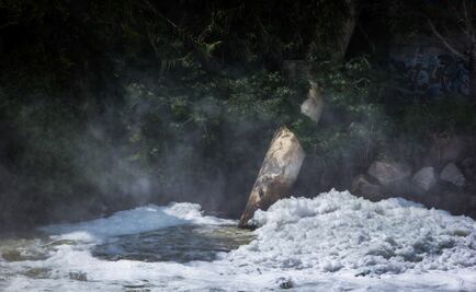 Cofece multa a 3 empresas de tratamiento de agua y residuos, ¿por qué?
