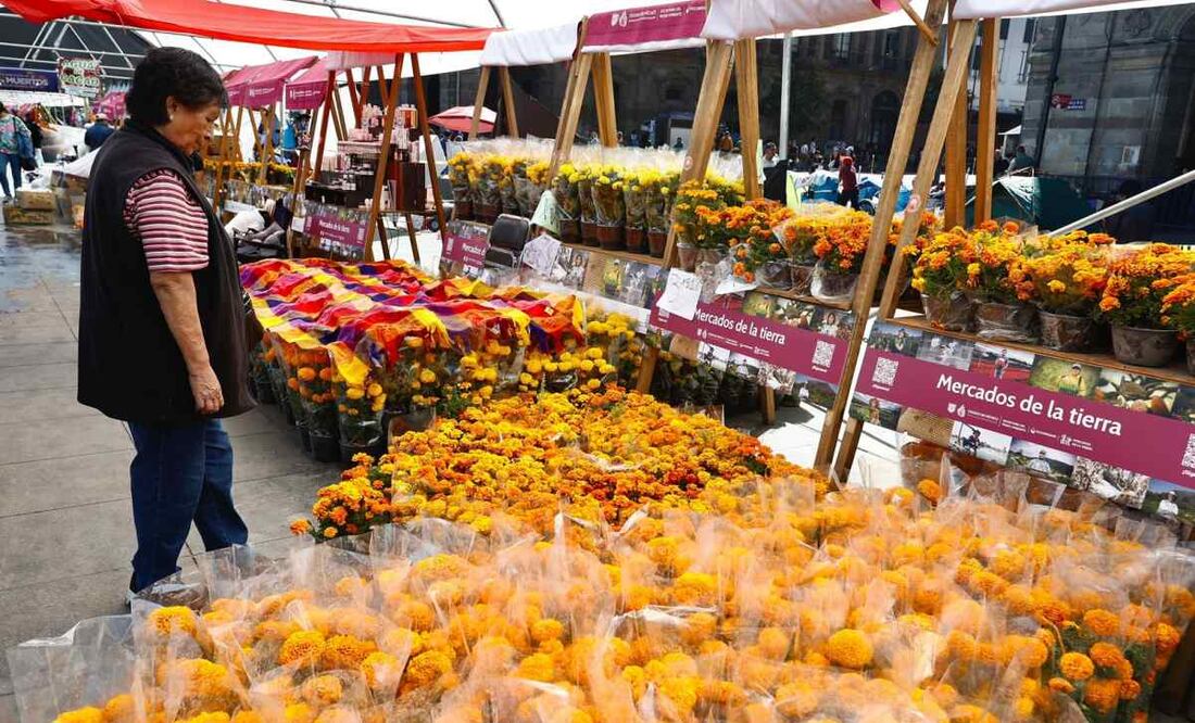 Puestos de venta de cempasúchil en el Zócalo de la CDMX (27/10/2025). Foto: Berenice Fregoso / EL UNIVERSAL