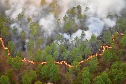 Registran aumento de incendios forestales