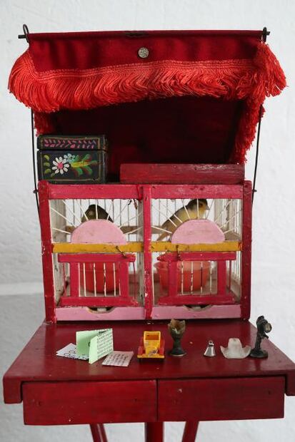 Pajaritos, ahora te leen la suerte… en las cantinas 