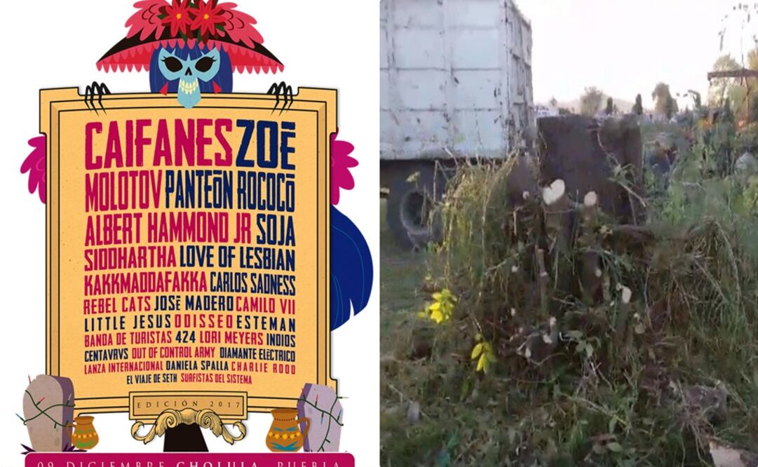 En la imagen cartel del Festival Catrina y presunta tala (Fotos: catrinafestival.mx / tomada de video)