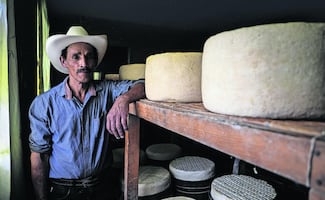 Productores de queso cotija luchan por conservar la tradición artesanal 