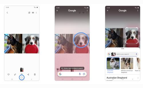 Con Circke to Search puedes entretenerte, informarte y descubrir temas nuevos. Foto: Samsung