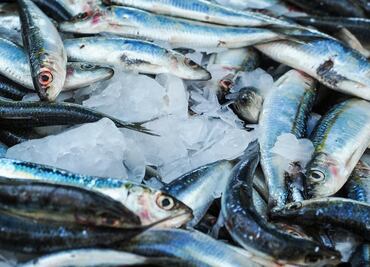 Estos son los precios de pescados y mariscos en cuaresma