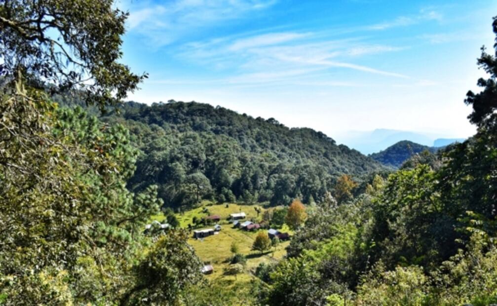 El Cielo, la increíble Reserva de la Biósfera de México  