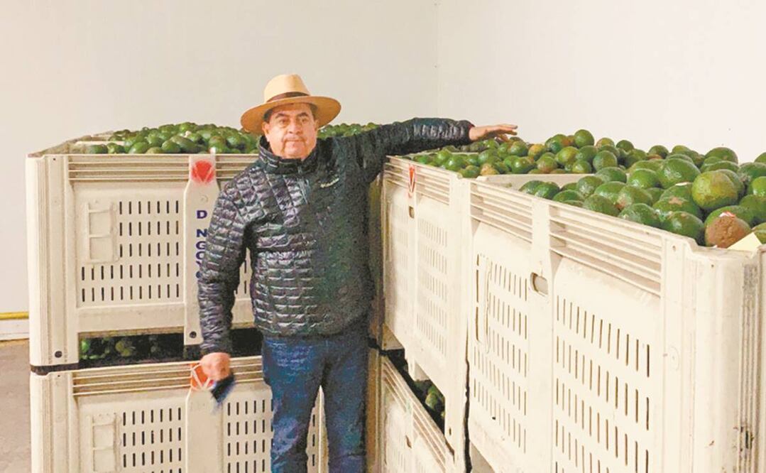 Valentín Rodríguez consideró que este año se abrirá una gran ventana para el sector aguacatero. Foto: Especial