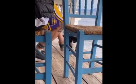 Captan a sujeto engañando a un gatito para patearlo hacia el mar en Grecia