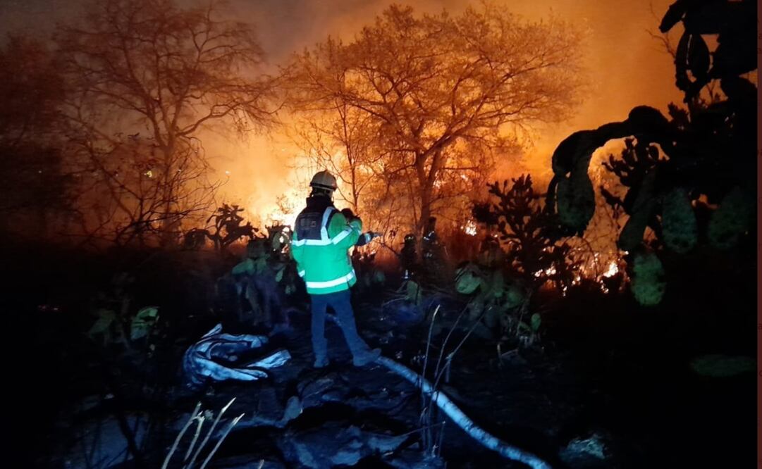 En las labores de mitigación del fuego se encuentran bomberos de Tlalpan, Iztapalapa y Magdalena Contreras. Foto: Protección Civil