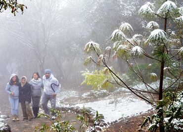 ¡Atención! Encontronazo de frente frío número 8 y tormenta tropical "Pilar" provocarán caída de aguanieve y temperaturas de -10 grados