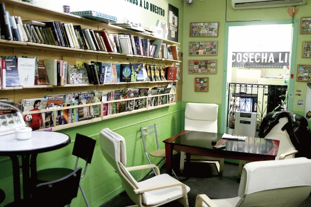 En España han proliferado pequeños clubes de cannabis, en los cuales se reúnen fumadores que quieren impulsar una regulación de la yerba (JUAN CARLOS ROJAS. EL UNIVERSAL)