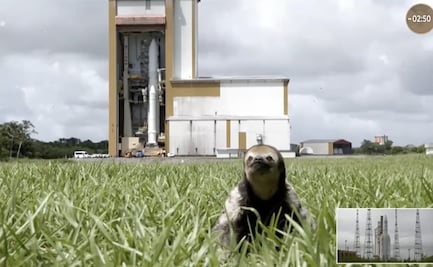 Perezoso "roba cámara" en el lanzamiento de la misión JUICE