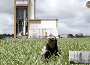 Perezoso "roba cámara" en el lanzamiento de la misión JUICE