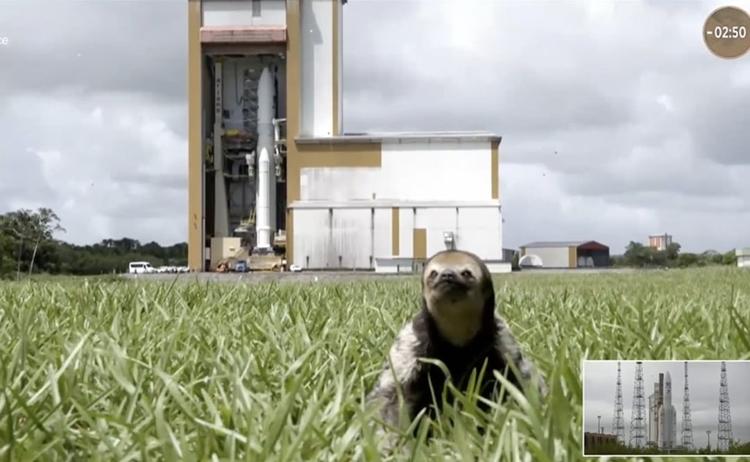 El animal puso su mejor perfil para ser apreciado por millones de espectadores. Foto: Facebook. ESA - European Space Agency