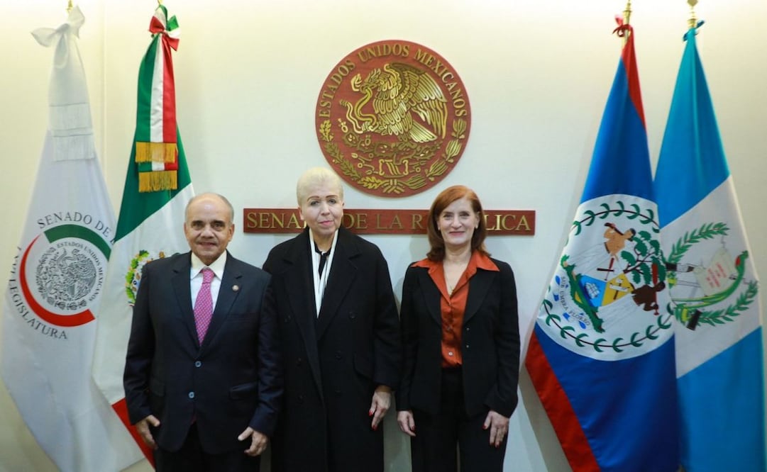 El priista Manuel Añorve con Ana Luisa Vallejo Barba, designada Embajadora de México en Belice y Luz Elena Baños Rivas, designada Embajadora de México en Guatemala este martes 10 de febrero de 2026. Foto: Especial