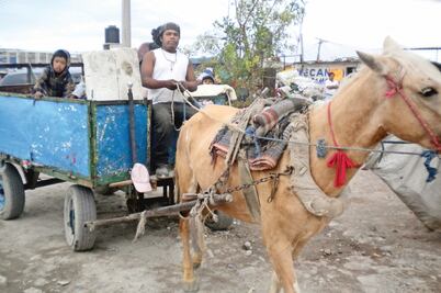 Buscan sustituir uso de equinos por motos
