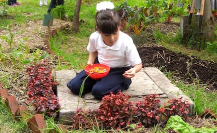 Inauguran primer huerto-cocina en escuelas del DF