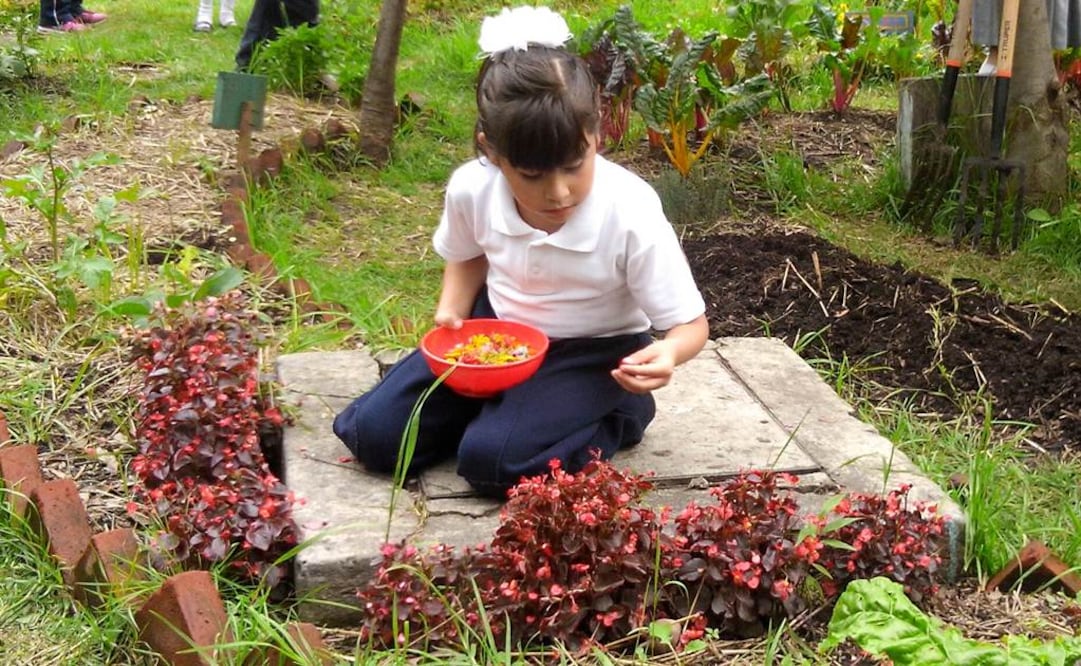 Inauguran primer huerto-cocina en escuelas del DF