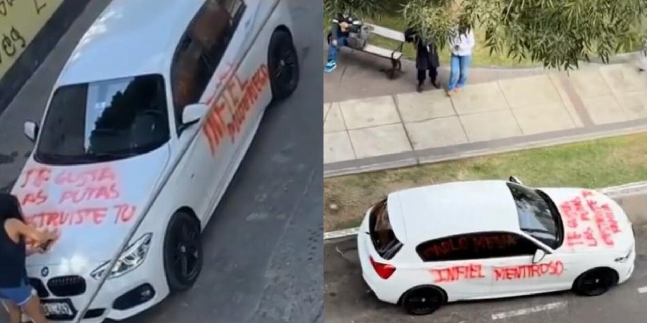 La mujer no dejó ni un solo espacio en el carro. FOTO: TikTok: @.andresv