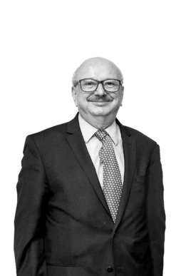 Luis Herrera Lasso M.