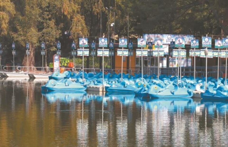 El reto de rehabilitar la naturaleza del Bosque de Chapultepec