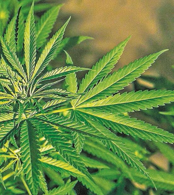 El Foco. Cerrado encuentro entre Chicharito y Joserra