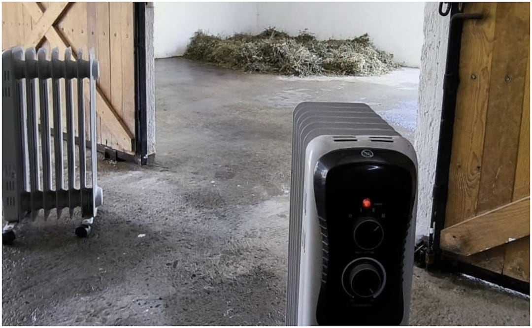 Autoridades del zoológico de León, Guanajuato colocaron fuentes de calor para que los animales no pasen frío (27/11/2024): Foto: Especial