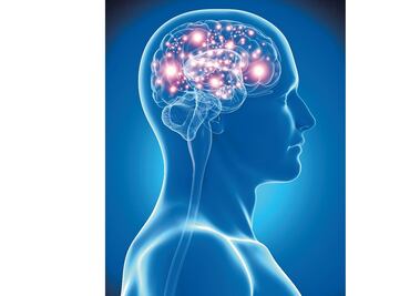 Conexión entre el cerebro y órganos, responsables de cómo procesamos nuestras emociones: Estudio