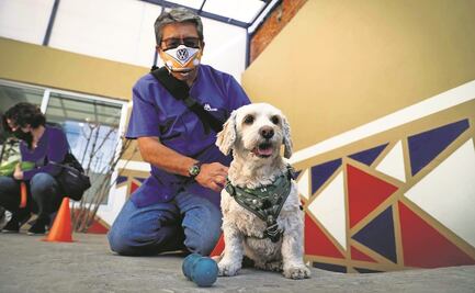 Enseñan cuidado de perros ante la pirotecnia