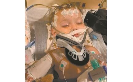 Sharon Stone pide en redes por la salud de su sobrino y ahijado de 11 meses