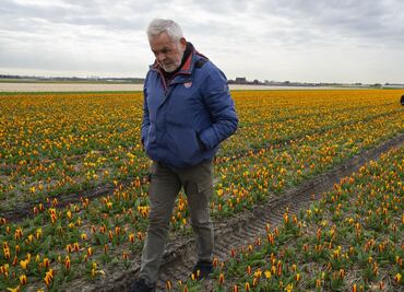 Theo: El robot que con inteligencia artificial cuida los tulipanes en Países Bajos