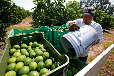Extorsión está imparable; hay 33 víctimas al día
