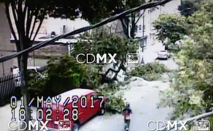 Casi 70 árboles caídos por fuertes vientos en la CDMX