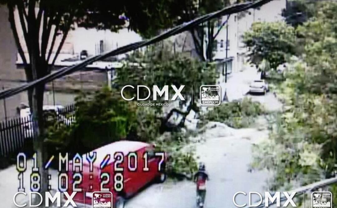 Foto tomada de Twitter @ciudad_segura