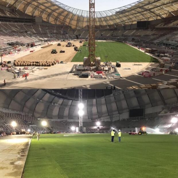 En Qatar colocan césped en tiempo récord