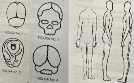 Las dos autopsias de Debanhi Escobar 