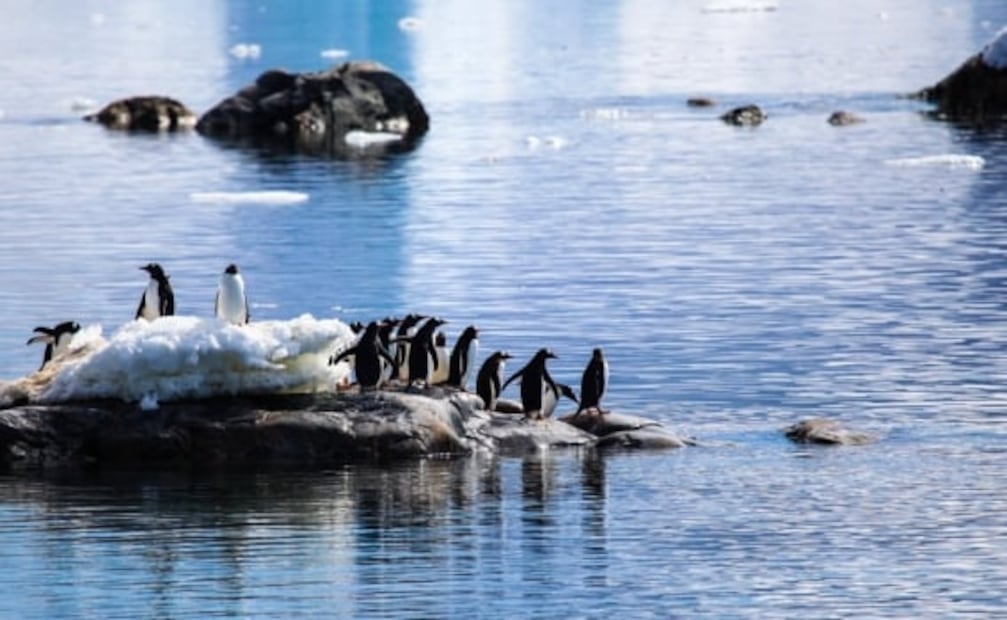 El presidente Xi Jinping sostuvo un encuentro virtual con el presidente de Estados Unidos, Joe Biden