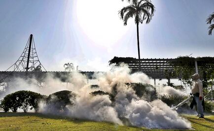 Brote de zika podría propagarse en Asia y África: OMS